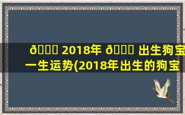 🐝 2018年 💐 出生狗宝宝一生运势(2018年出生的狗宝宝几月份zui
好命)
